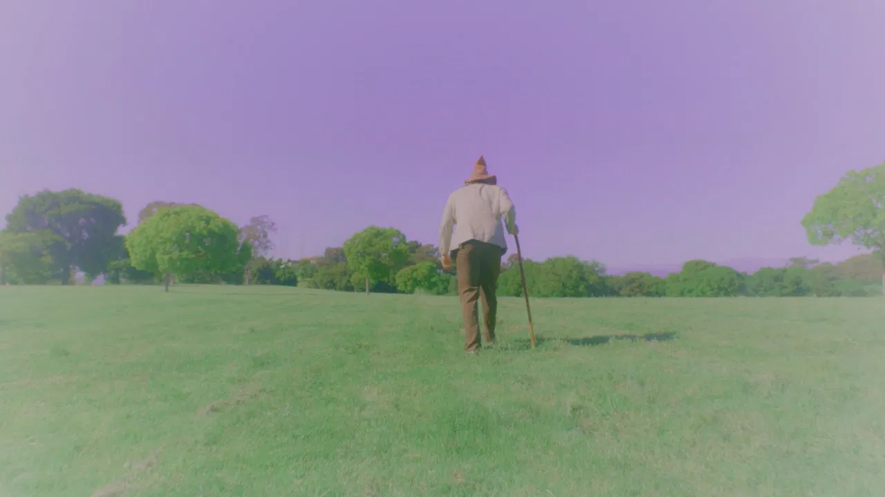 The Wizard and the Detective in the Search backdrop