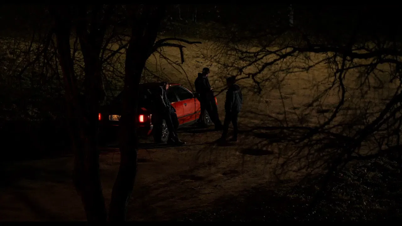 Let's Fight backdrop