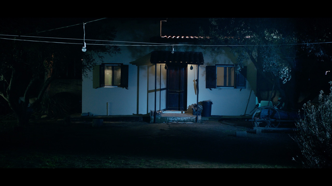 January 5th backdrop