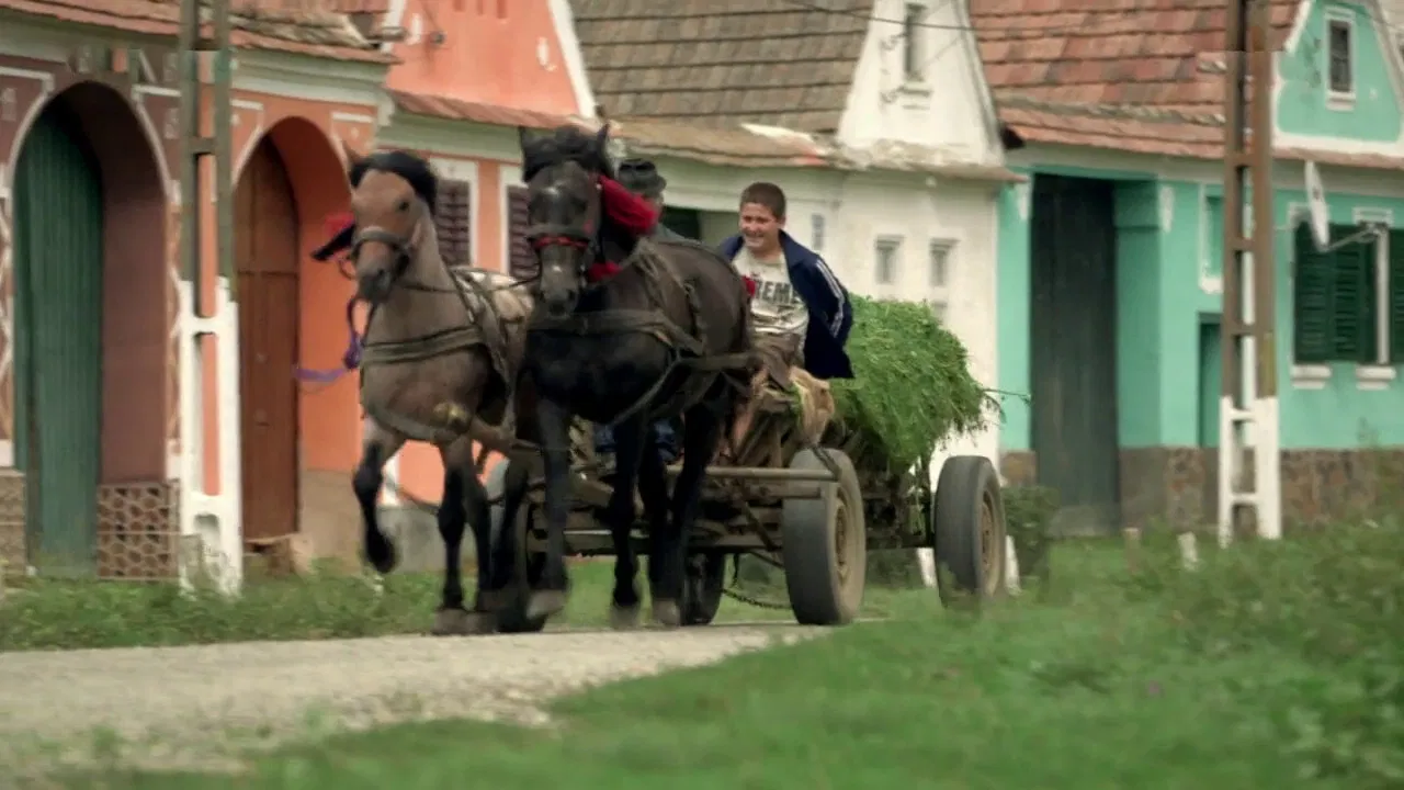 Die Bio-Illusion backdrop
