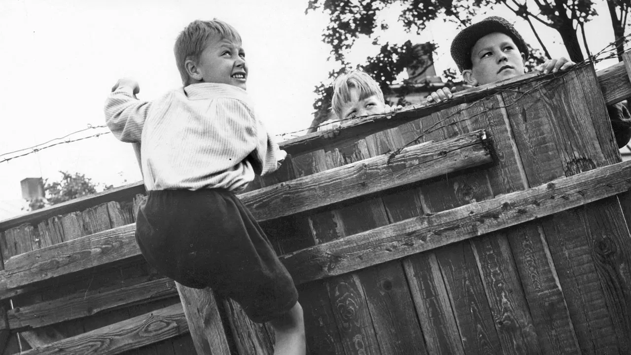 Pikku Pietarin piha backdrop