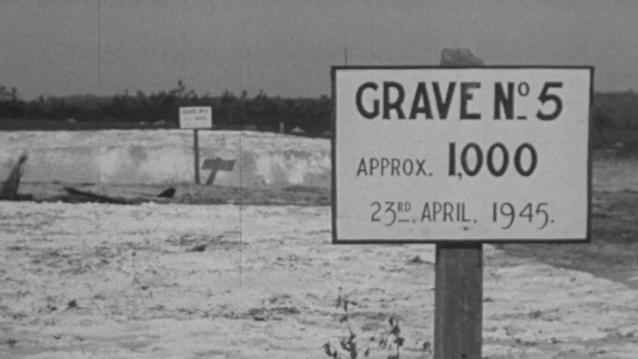 What They Found backdrop