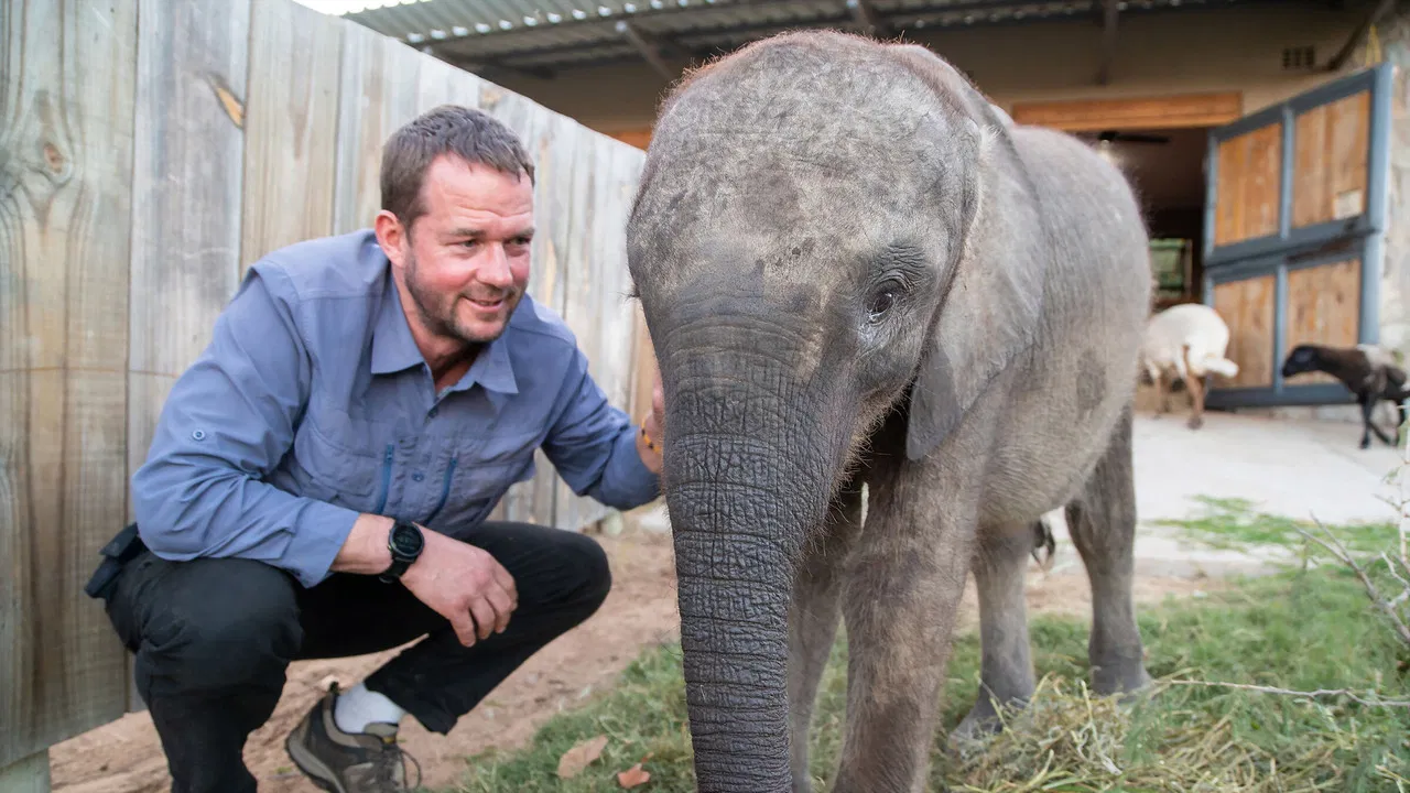 Baby Animal Rescue backdrop