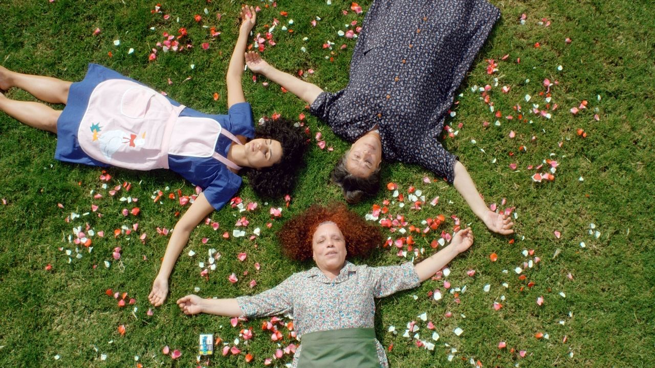 Cactus Flower backdrop