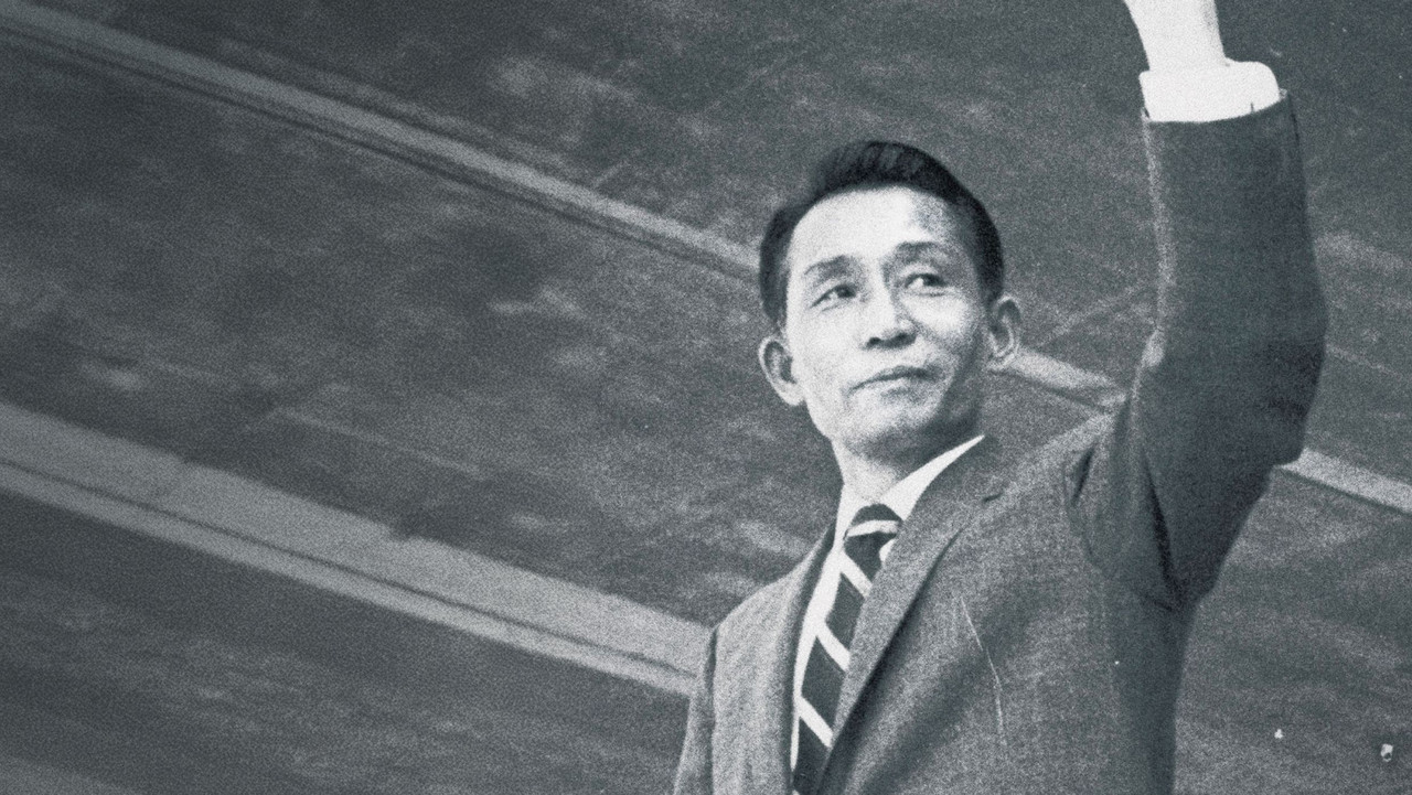 And When the Magnolia Bloom backdrop