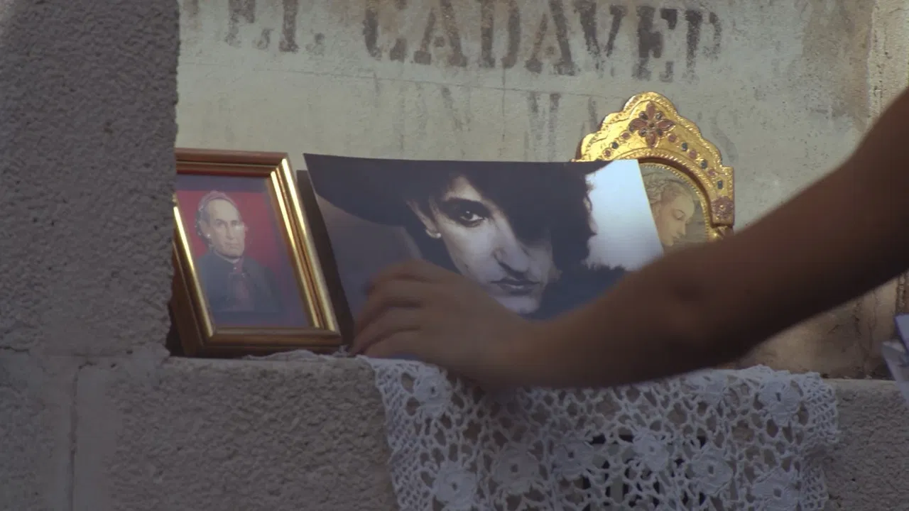 Retrato permanente backdrop