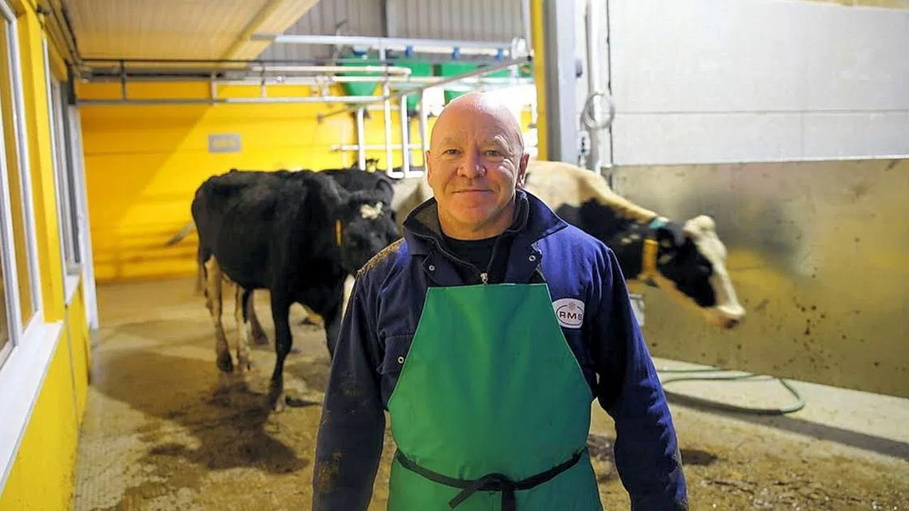 Dom Delivers backdrop