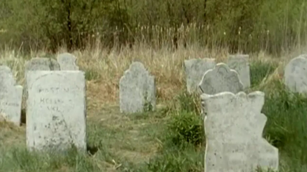 Goosebumps: Ghost Beach backdrop