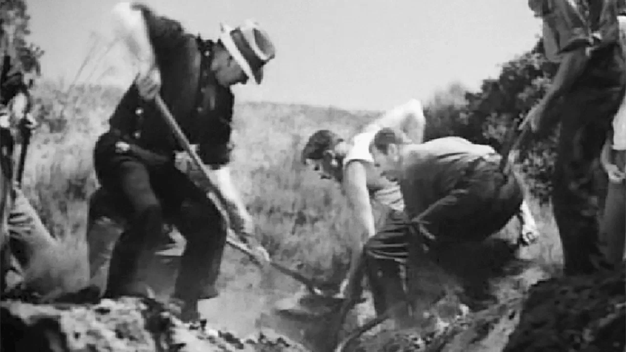 Our Daily Bread backdrop