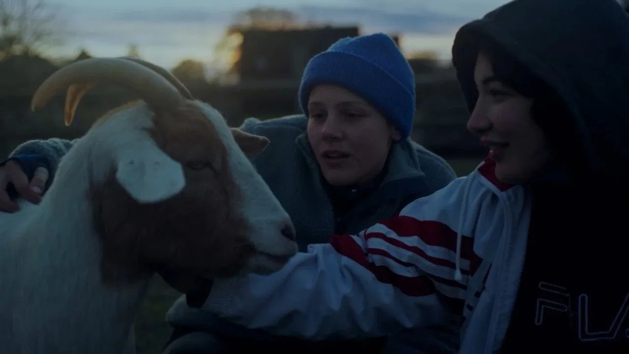 Ninja Motherf*cking Destruction backdrop