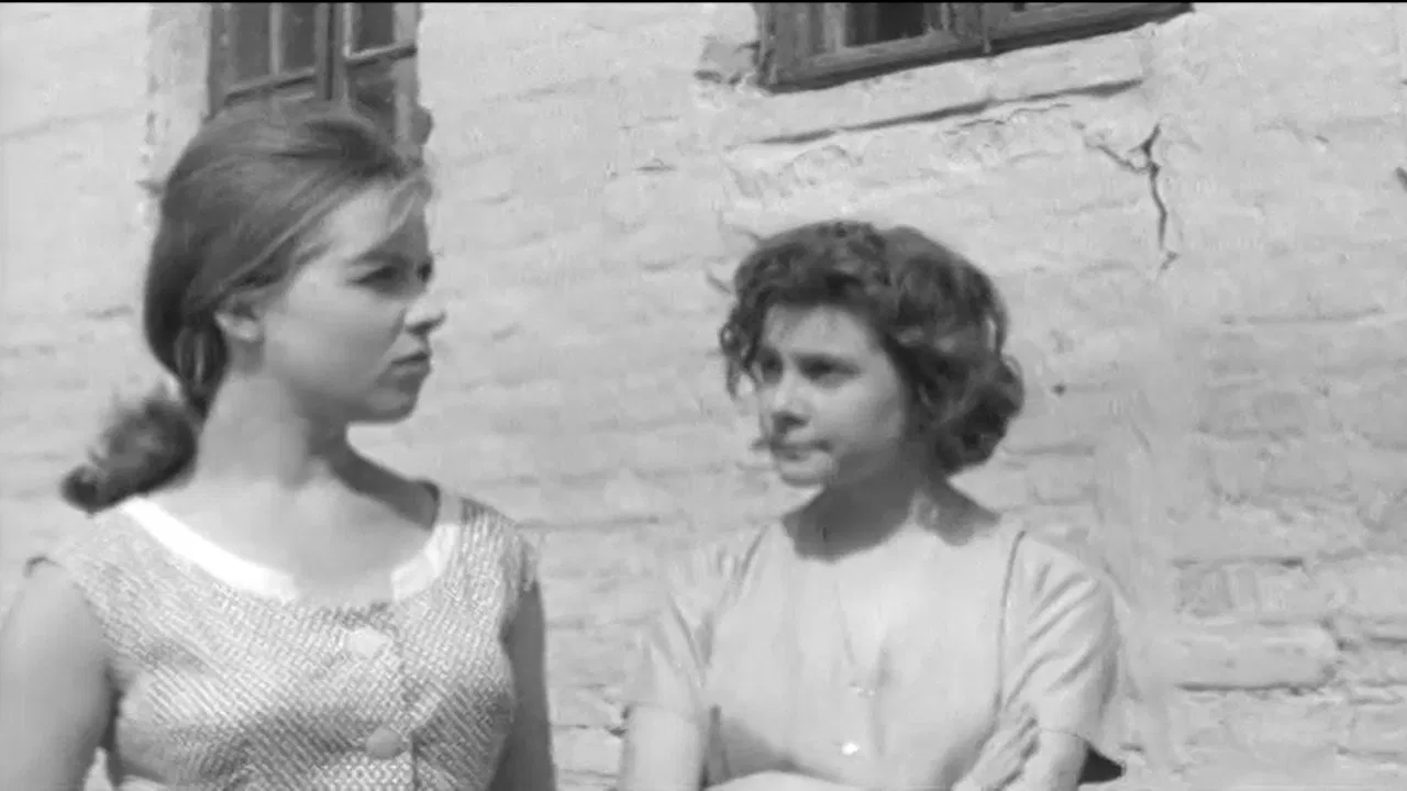 Business Trip backdrop