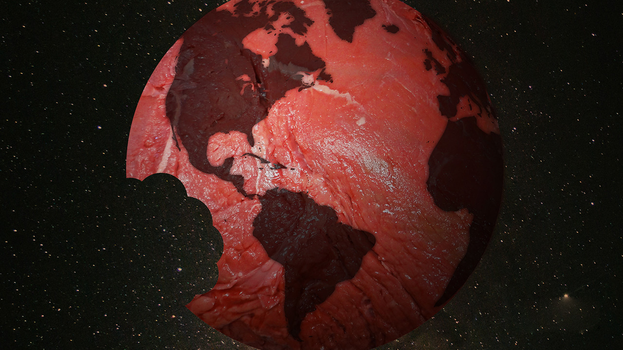 A Meaty Issue: Thinking Beyond Your Dinner Plate backdrop