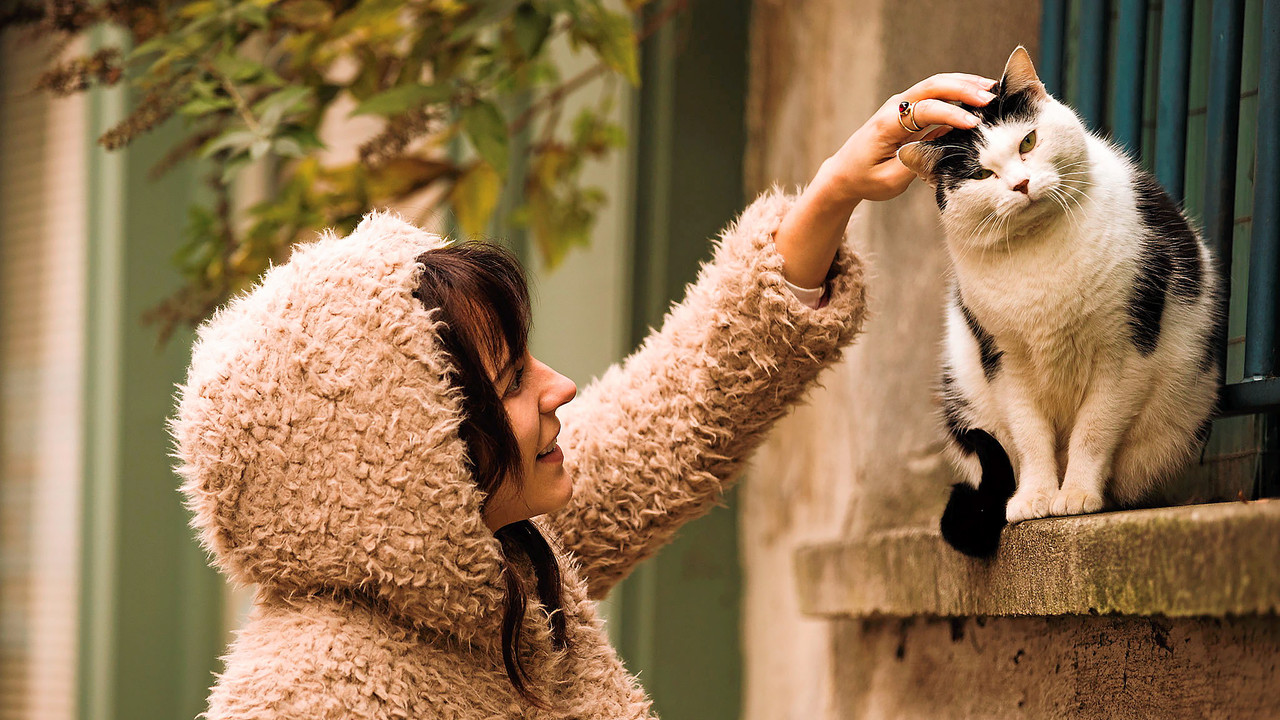 Emma Peeters backdrop