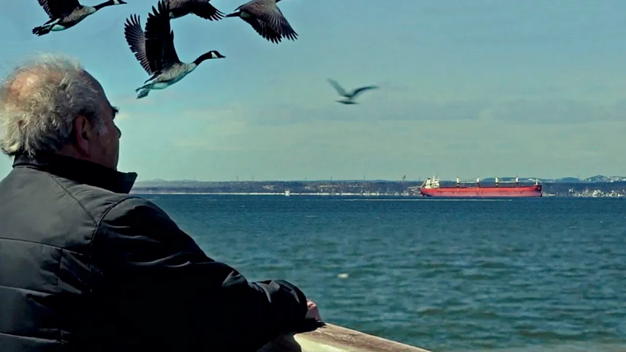 La seconda patria - Another Homeland backdrop