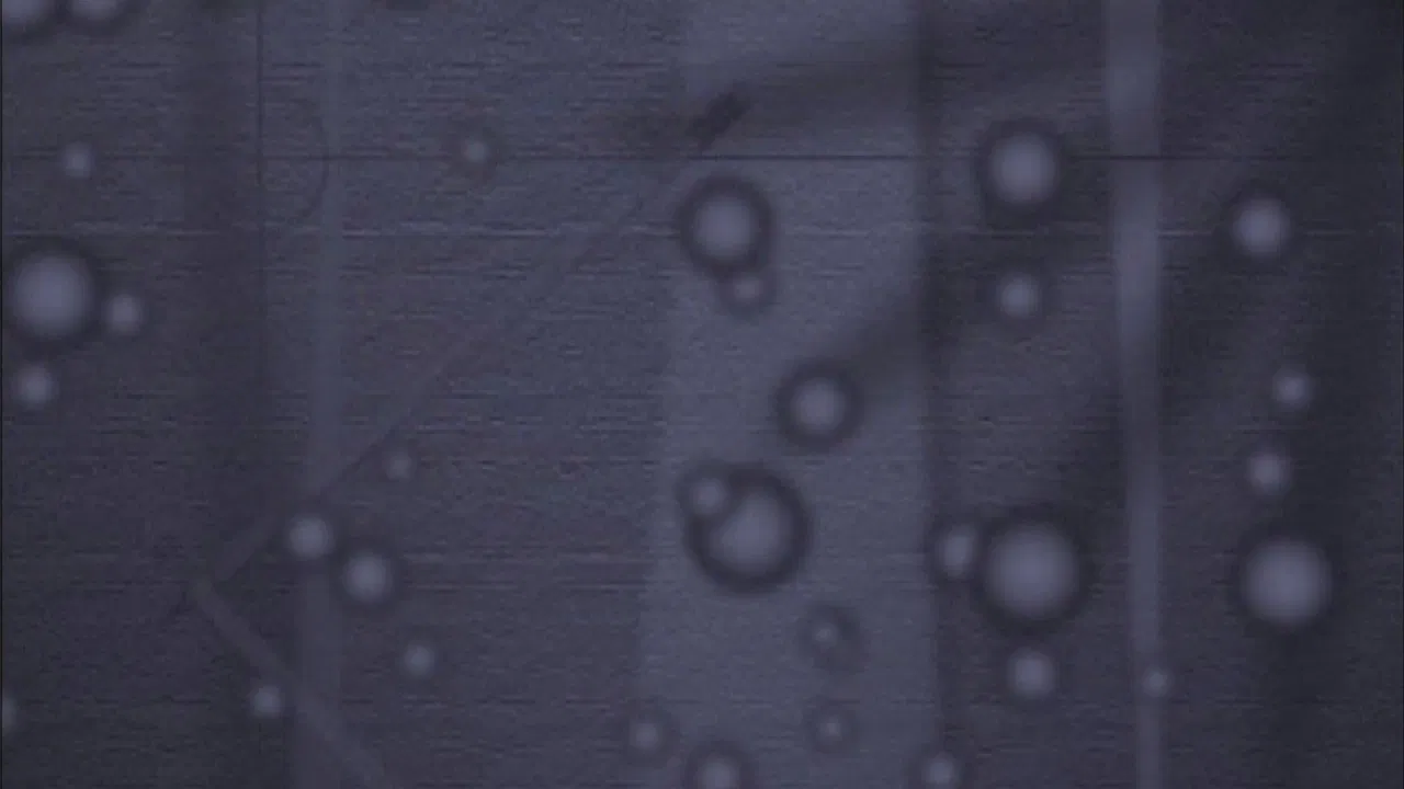 The Standard Deviants: The Split-Infinitive World of English Grammar backdrop