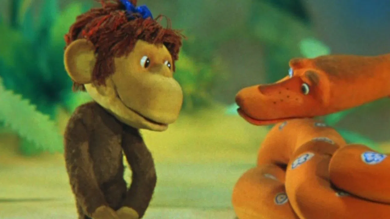 Gymnastics for the Tail backdrop