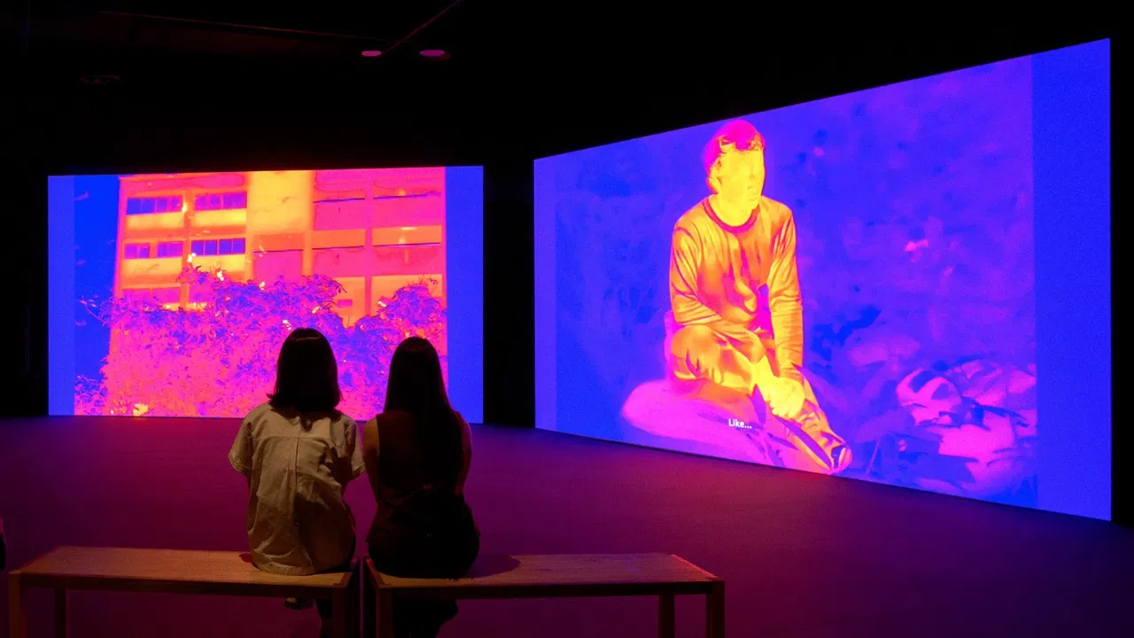 The Owl, The Travellers, and The Cement Drain backdrop