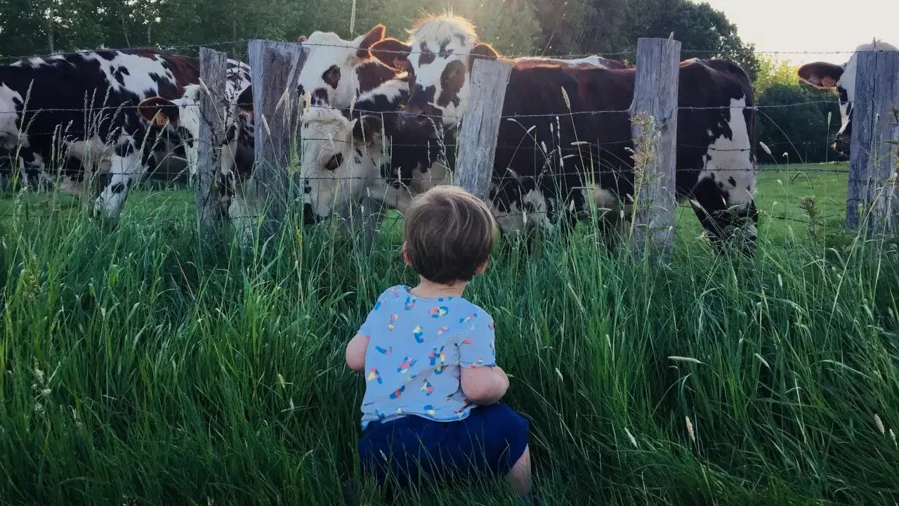 The Carnivore's Dilemma backdrop