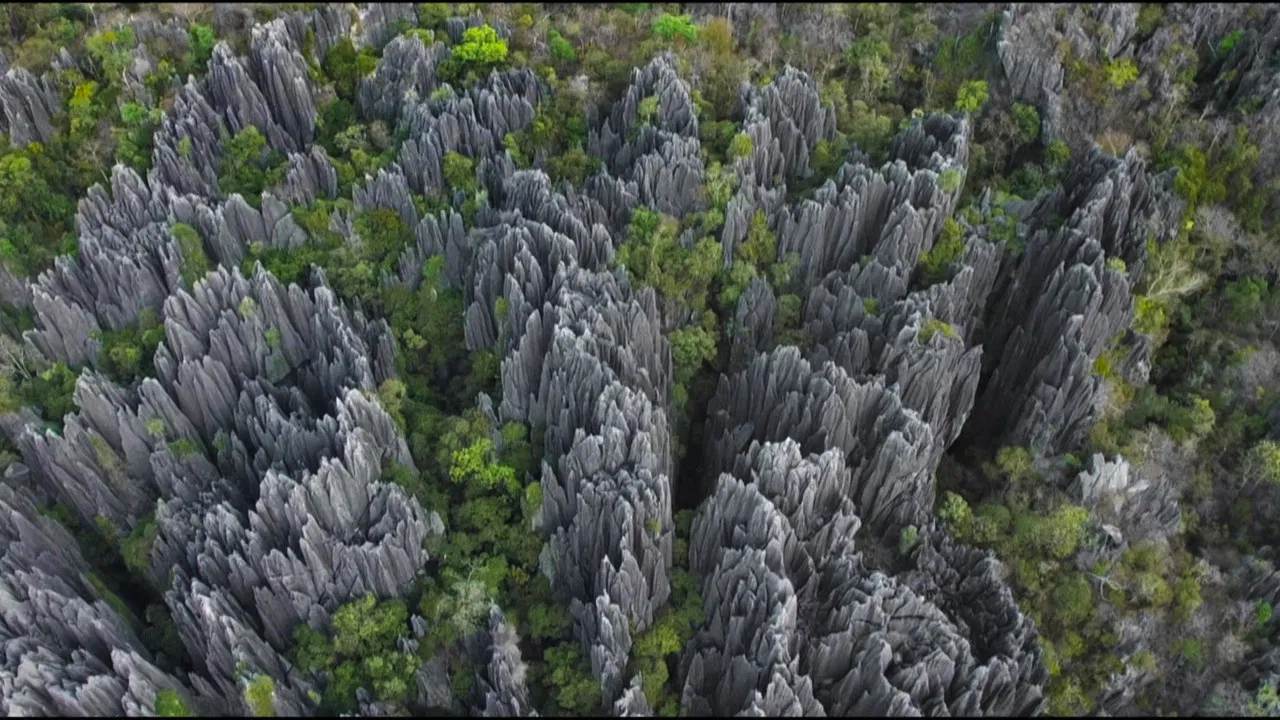 L'Histoire Secrète Des Paysages backdrop