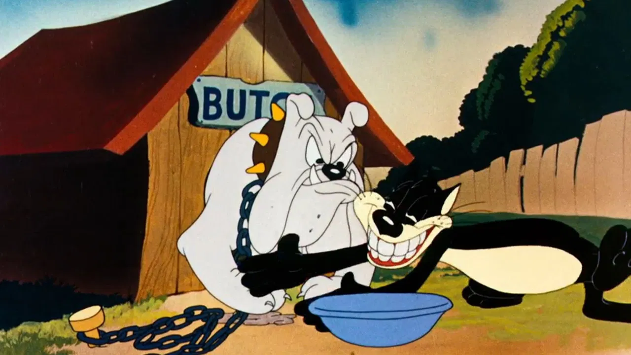 Birdy and the Beast backdrop