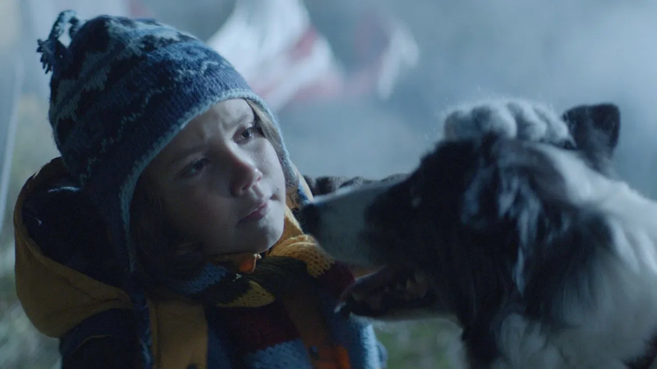 A Wish Upon A Satellite backdrop