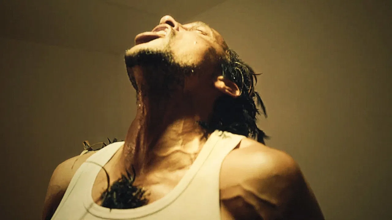 Pou fé lèv soleil backdrop