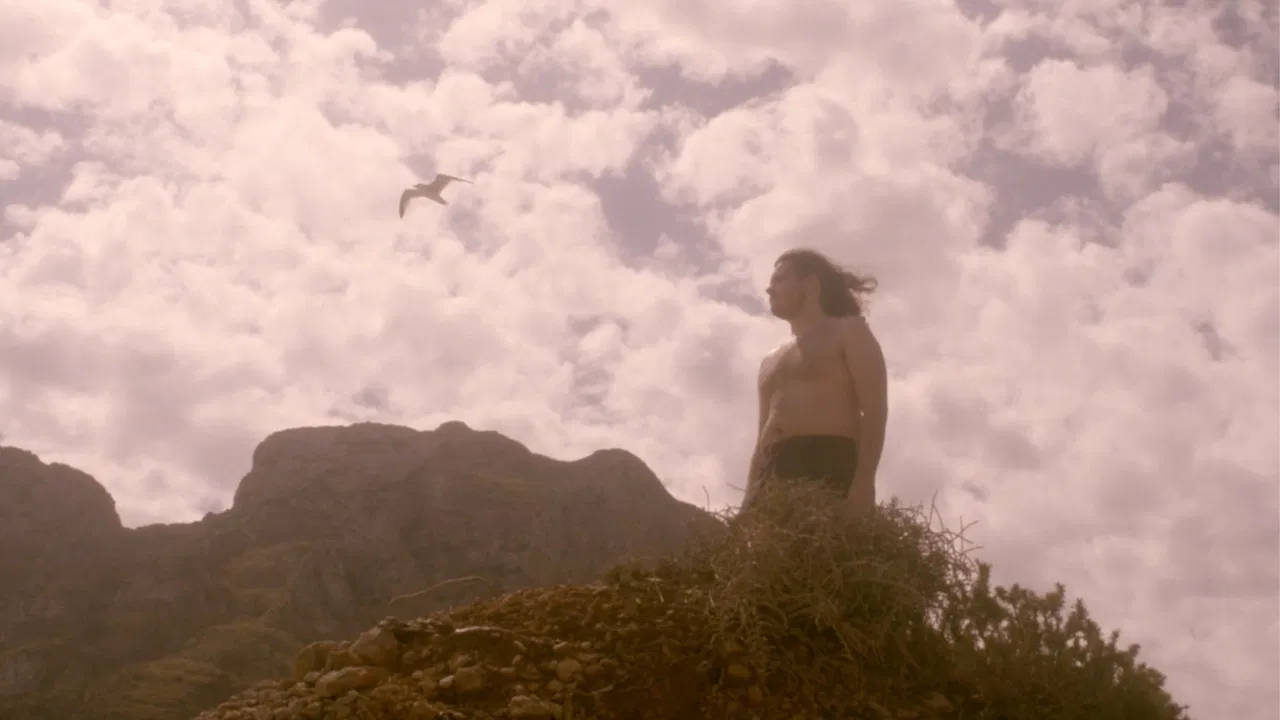 Ulysses' dog backdrop