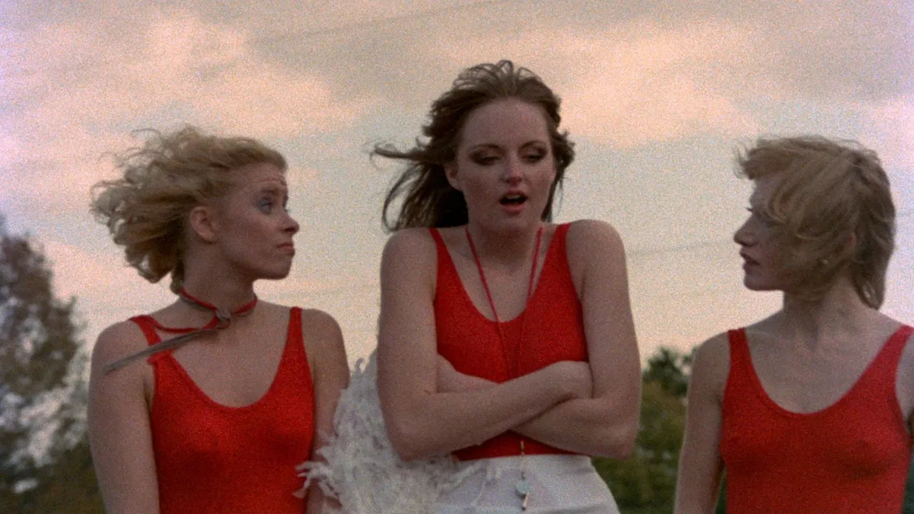 Velvet High backdrop