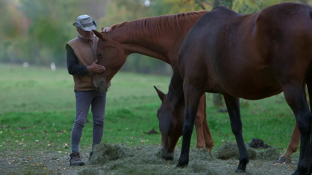 Un cavalier, un rêve, Boucane backdrop