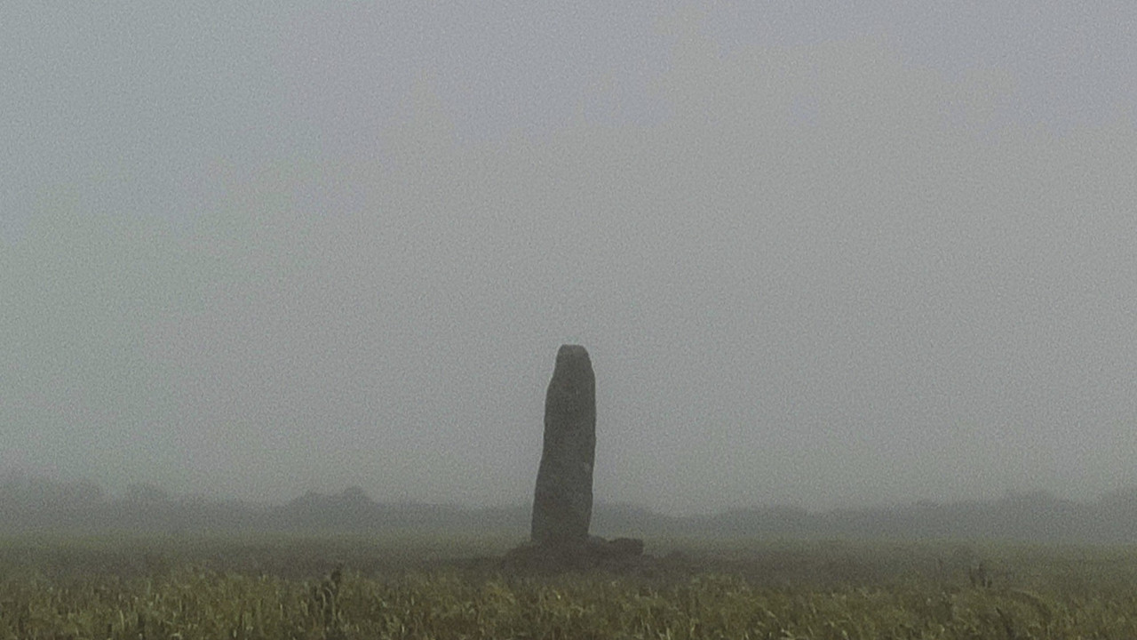 A Year in a Field backdrop