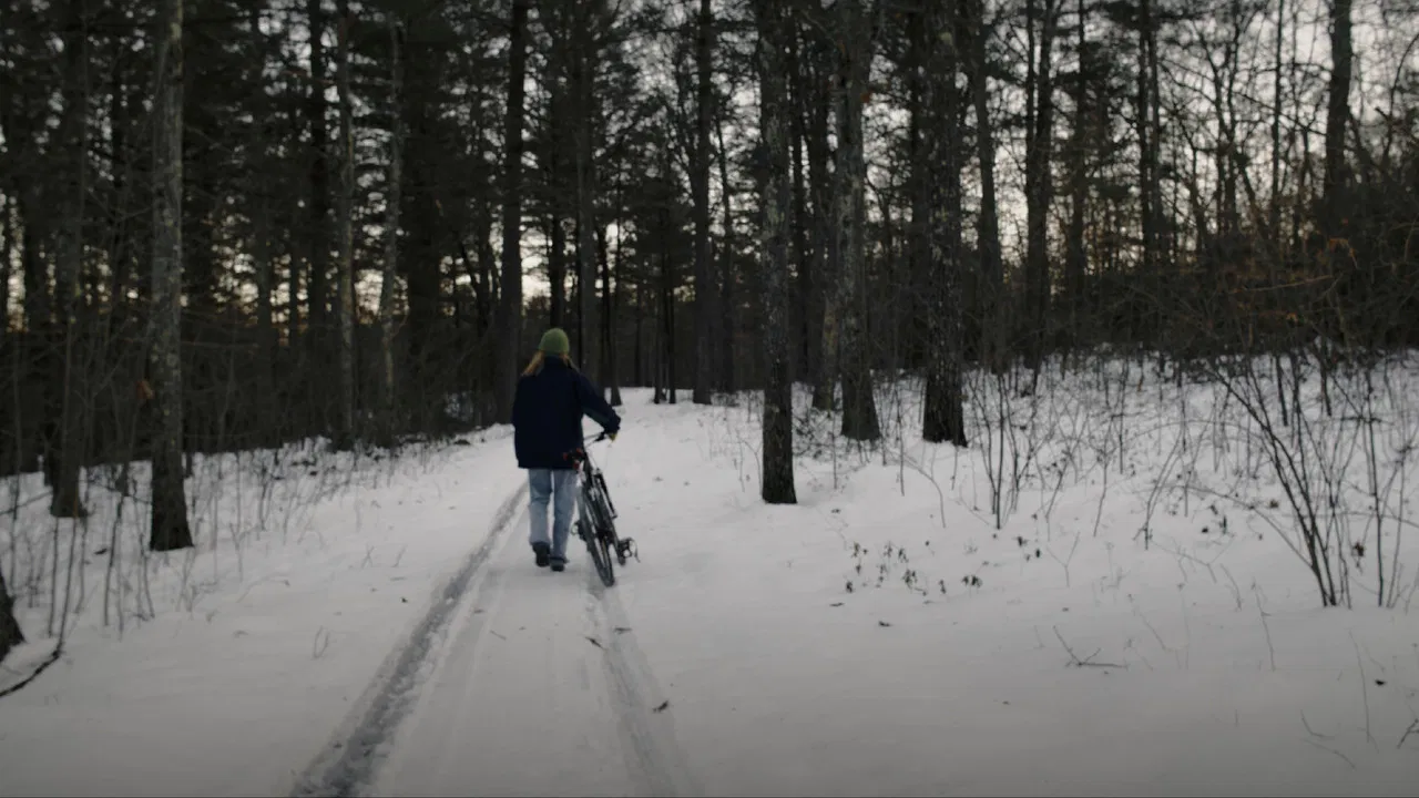 The Wych Elm backdrop