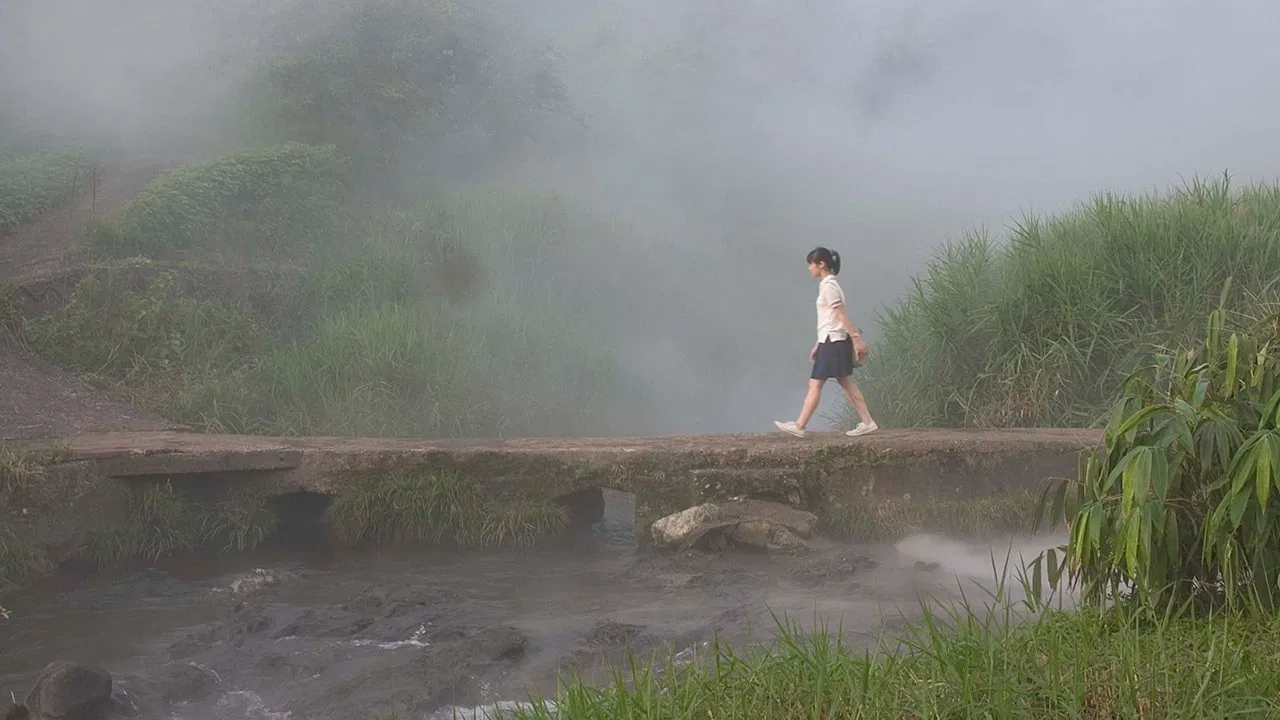 The Buried Forest backdrop
