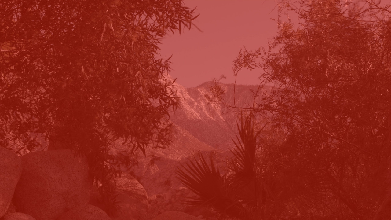 Onward Lossless Follows backdrop