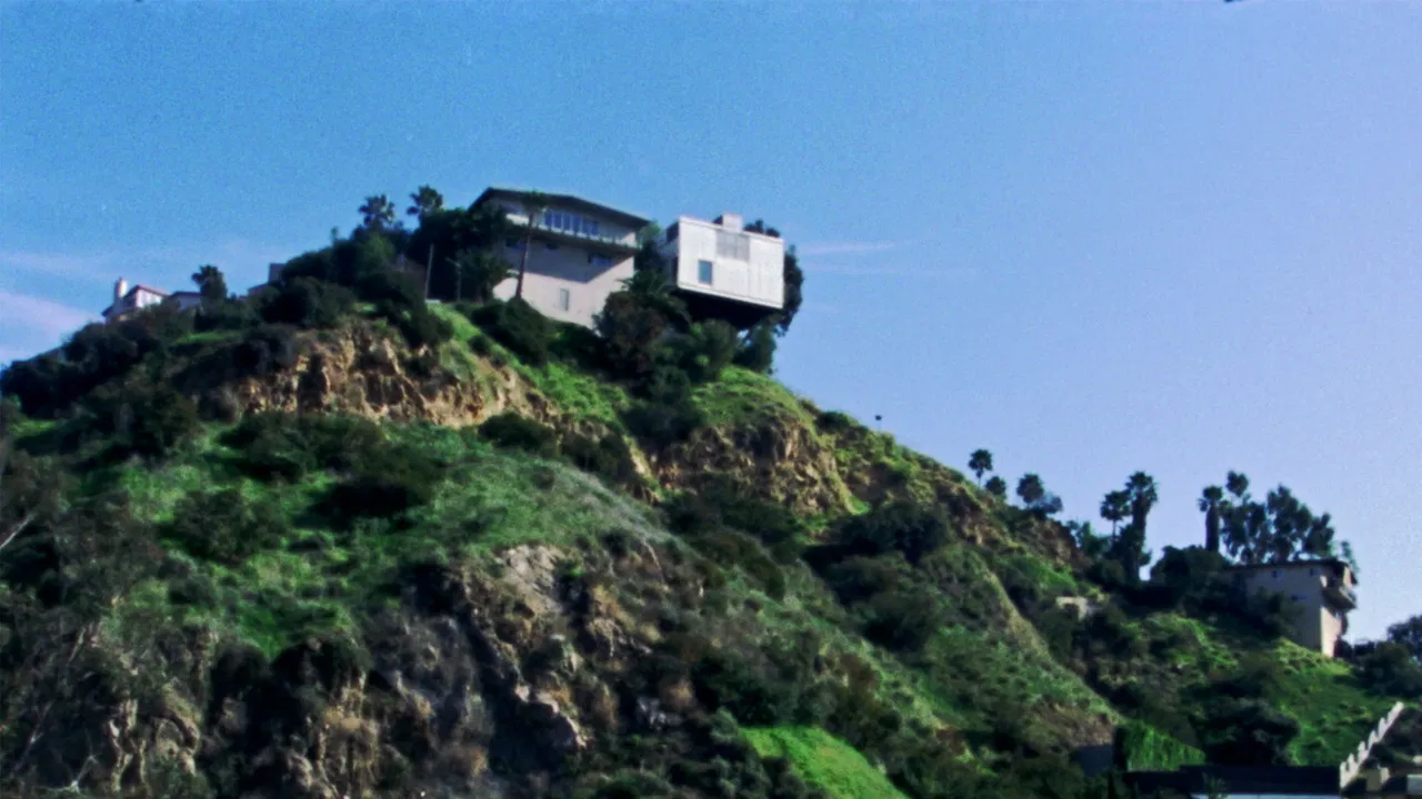 If a Tree Falls in a Forest backdrop