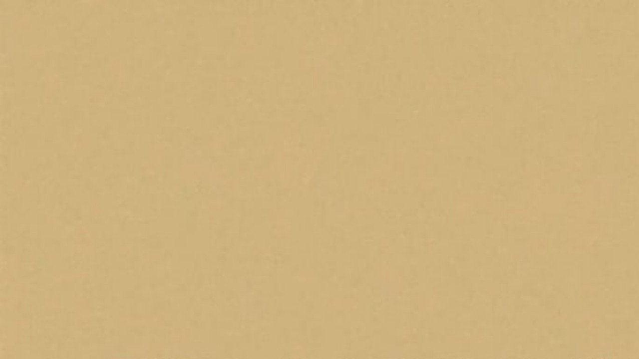 Bruno Dumont backdrop