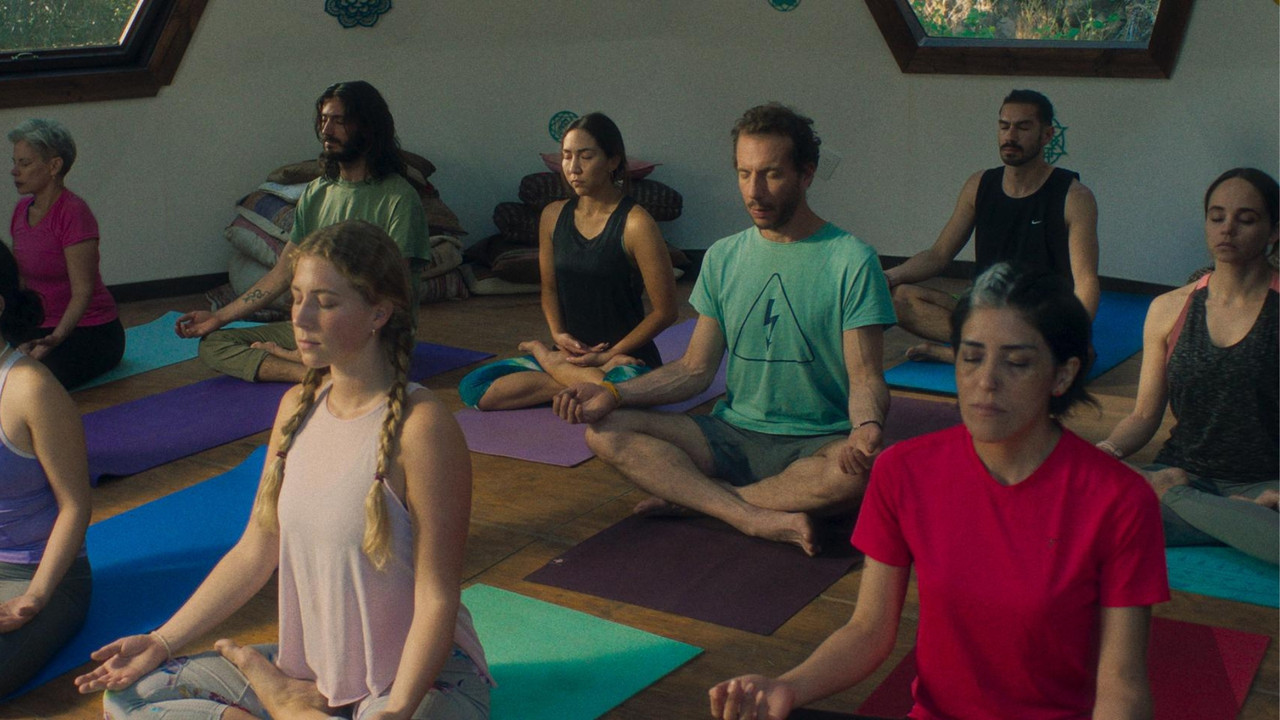 The Practice backdrop