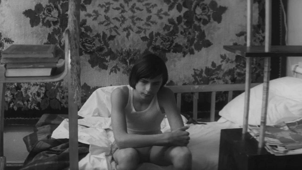 Domestic Circumstances backdrop