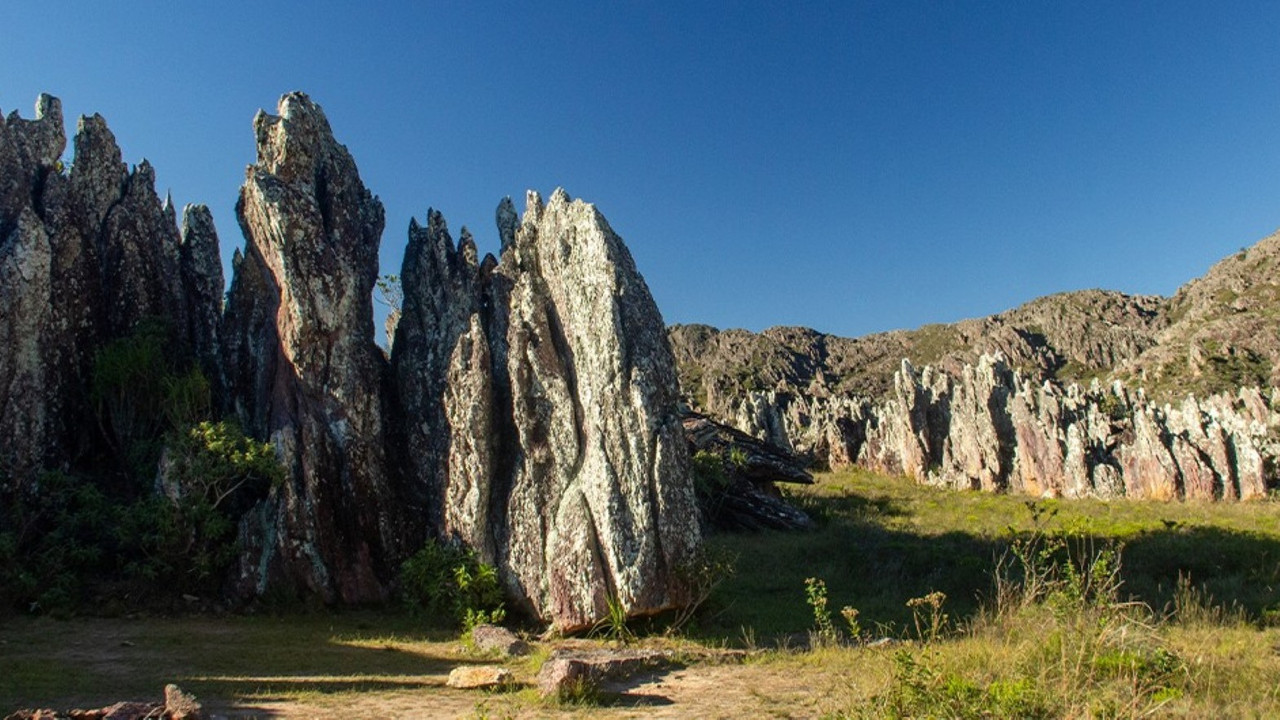 Música à Beira do Mundo backdrop