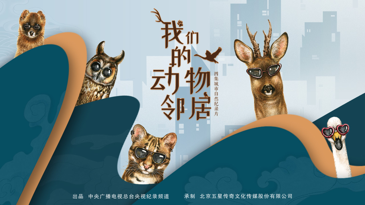 我们的动物邻居 backdrop