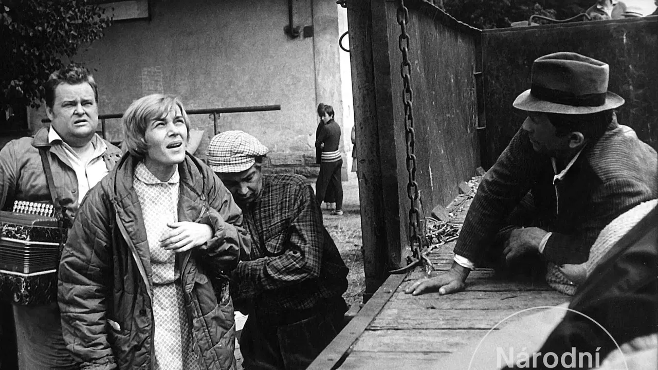 The Seventh Day, the Eighth Night backdrop