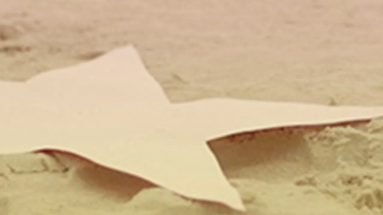 Quero Ir para Los Angeles backdrop