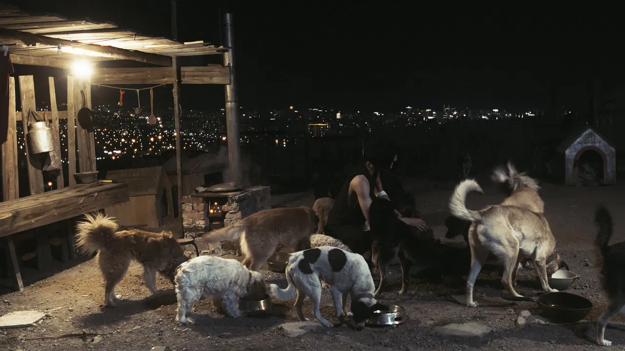 Silent City Driver backdrop