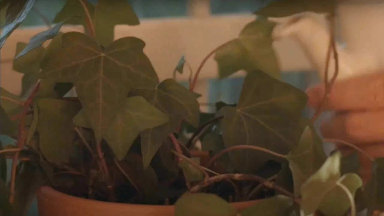 Friends of Mine: “Mental Health” backdrop