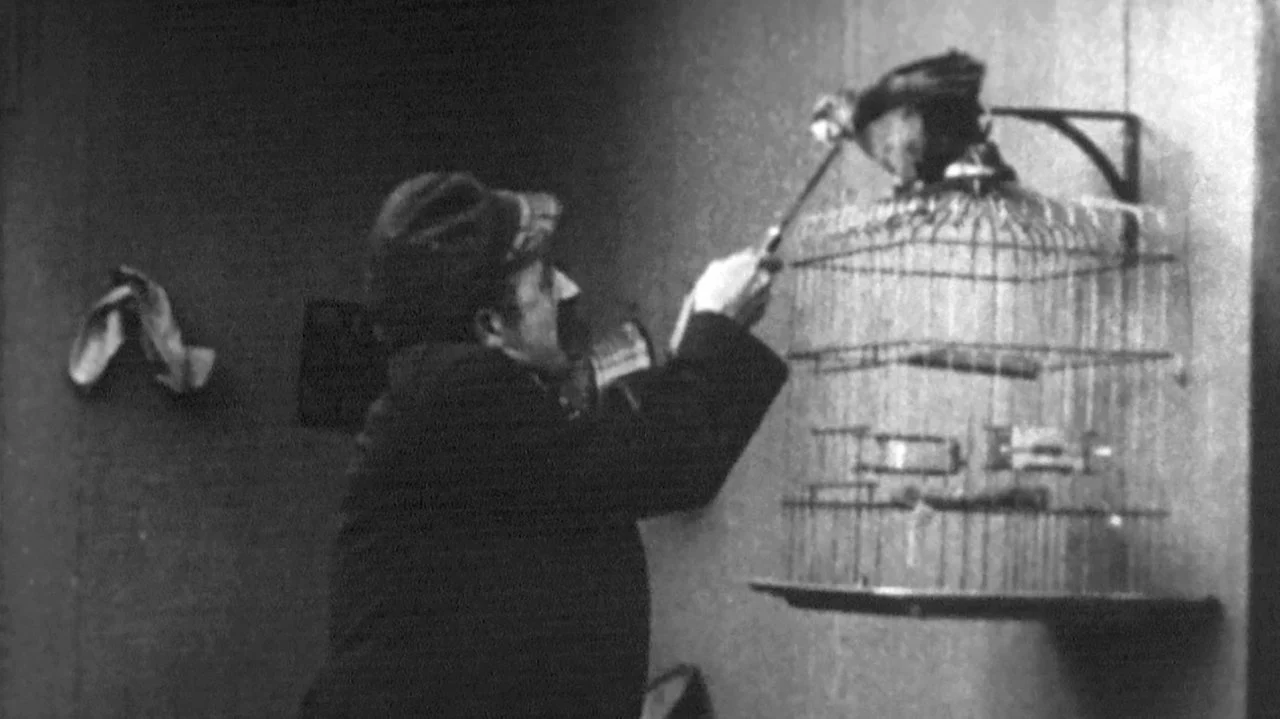 A Bird's a Bird backdrop