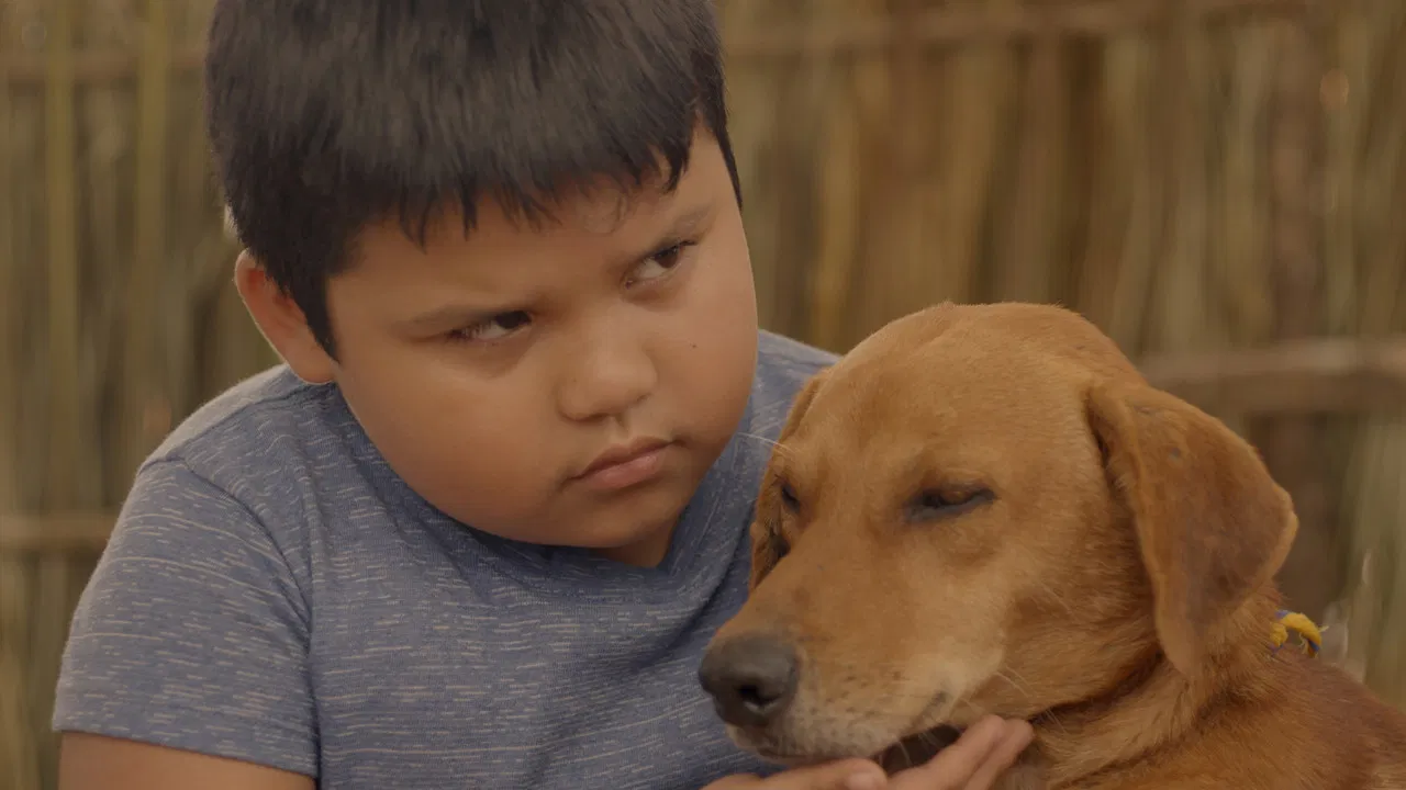 Xibalba Monster backdrop