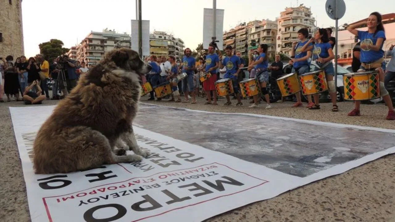 Should They Stay or Should They Go? backdrop