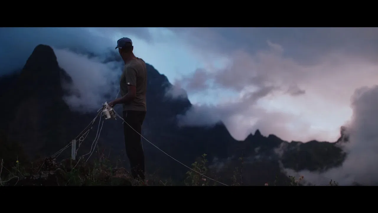 Le Coruskan backdrop