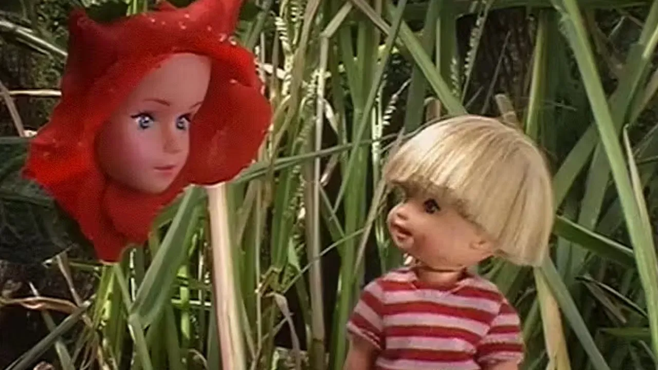 Plata segura backdrop