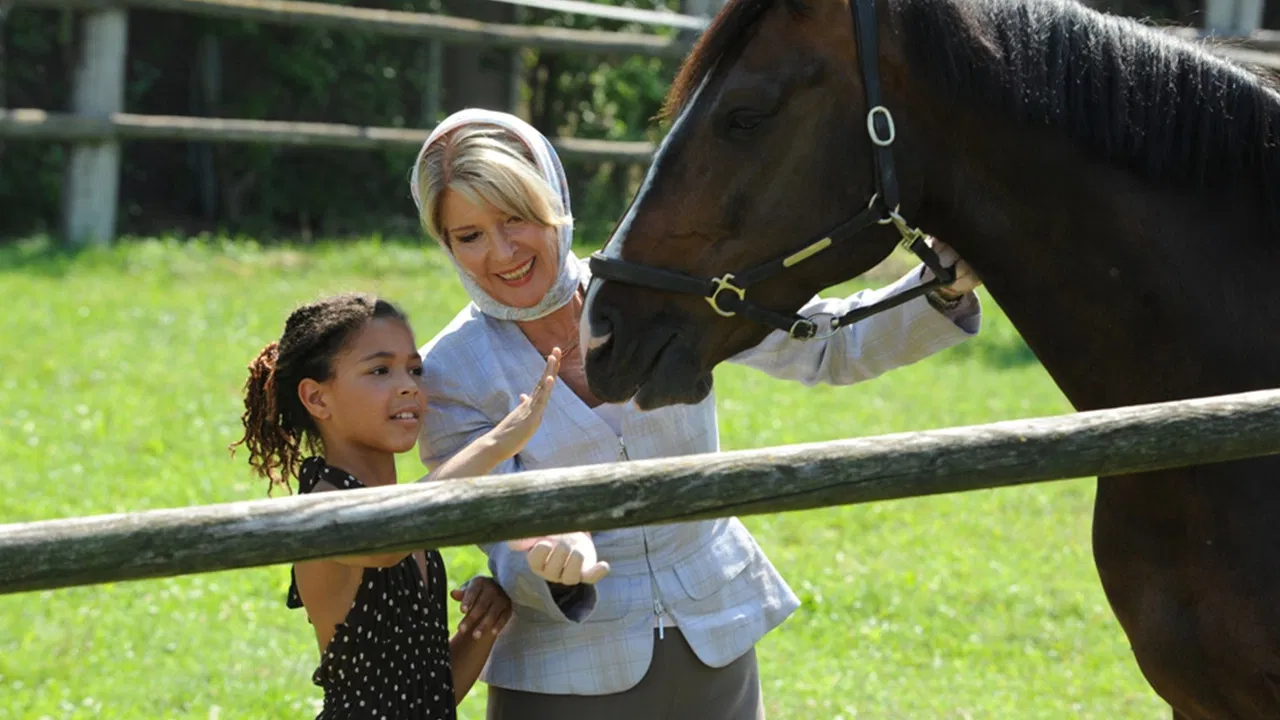 Oma wider Willen backdrop