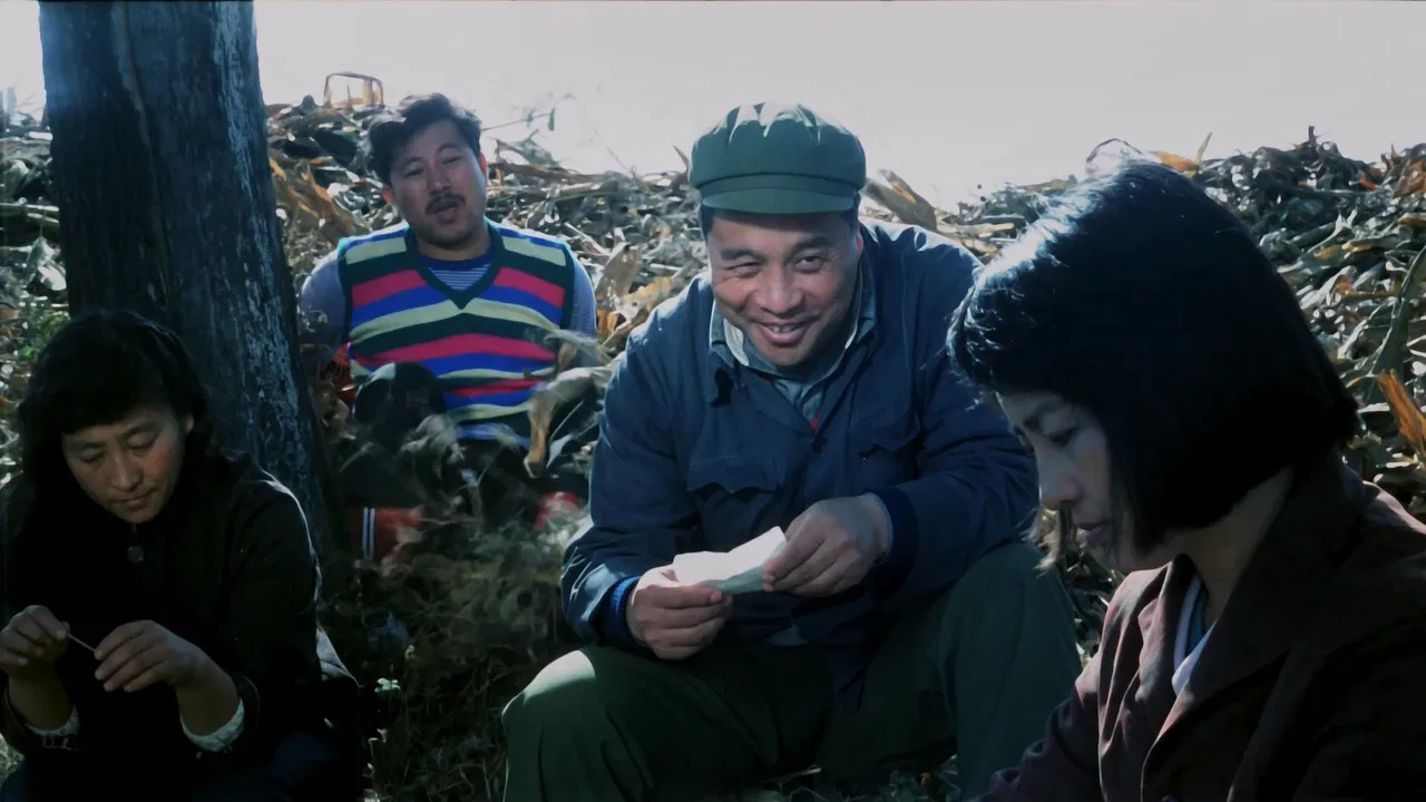 女人也是人 backdrop